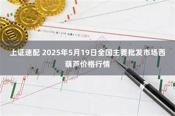 上证速配 2025年5月19日全国主要批发市场西葫芦价格行情