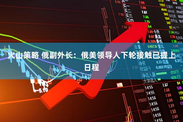 火山策略 俄副外长：俄美领导人下轮接触已提上日程