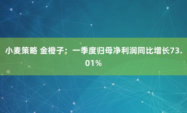 小麦策略 金橙子：一季度归母净利润同比增长73.01%