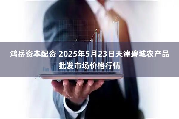 鸿岳资本配资 2025年5月23日天津碧城农产品批发市场价格行情