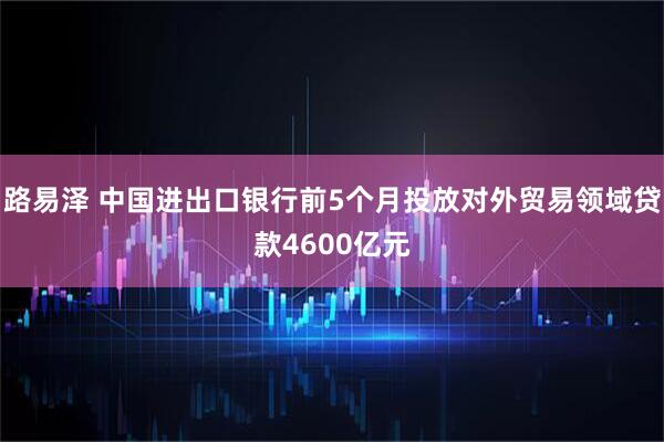 路易泽 中国进出口银行前5个月投放对外贸易领域贷款4600亿元